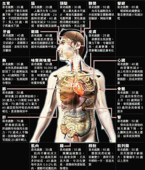 步入中年，身体的哪个部位最先告诉你，你真的老了「正在变老的明显特征是什么」 行业法规