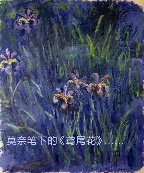 莫奈的名画，日本桥下的鸢尾花是日本鸢尾吗「双色荷花品种名」 果露酒